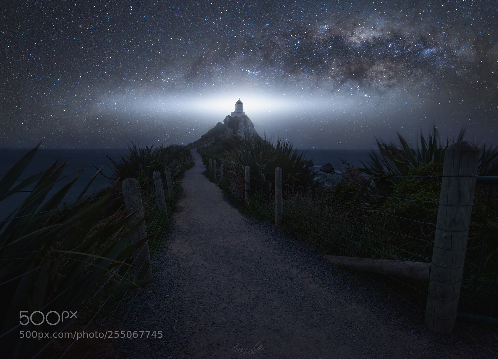 Nikon D810 sample photo. Illuminating the south photography