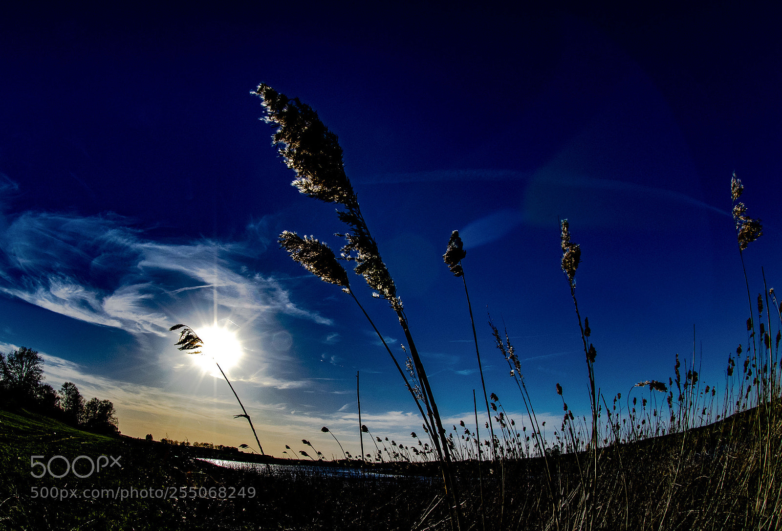 Nikon D850 sample photo. Wiosna nad narwią photography