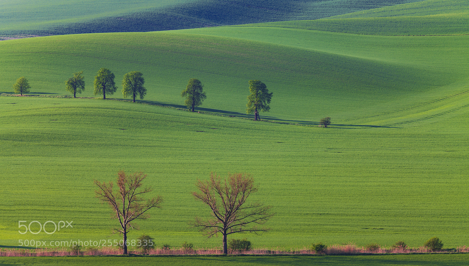 Canon EOS 5D Mark II sample photo. Moravian tuscany photography