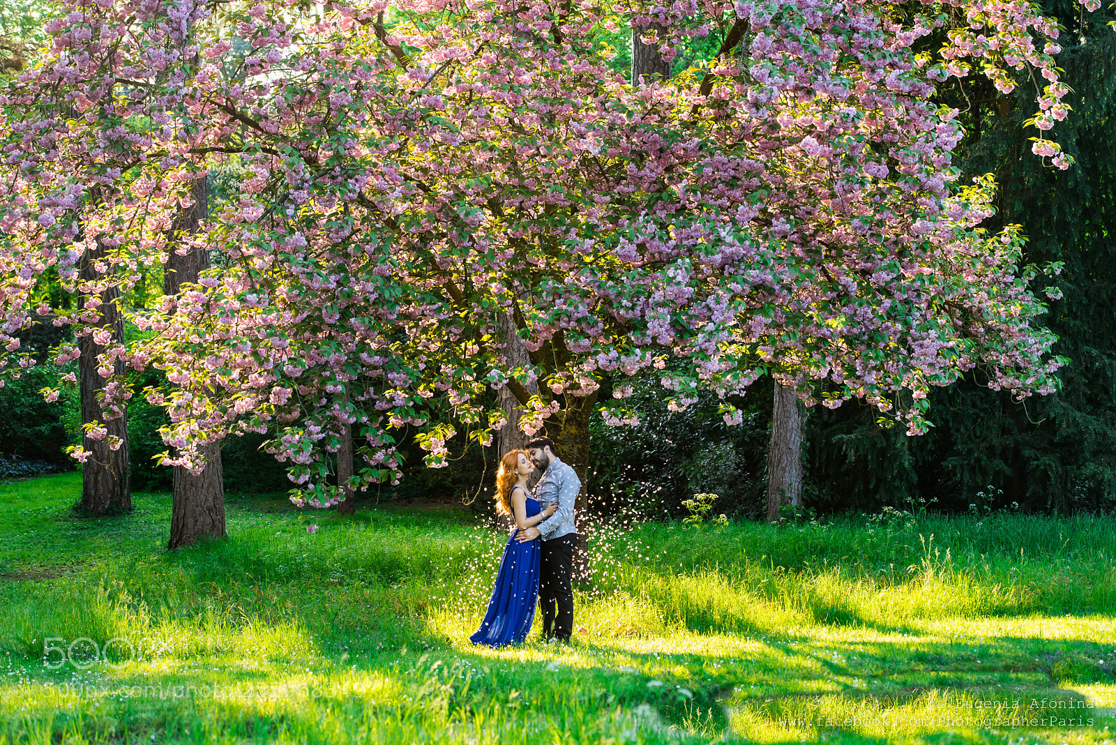 Nikon D610 sample photo. Spring is the loveliest photography
