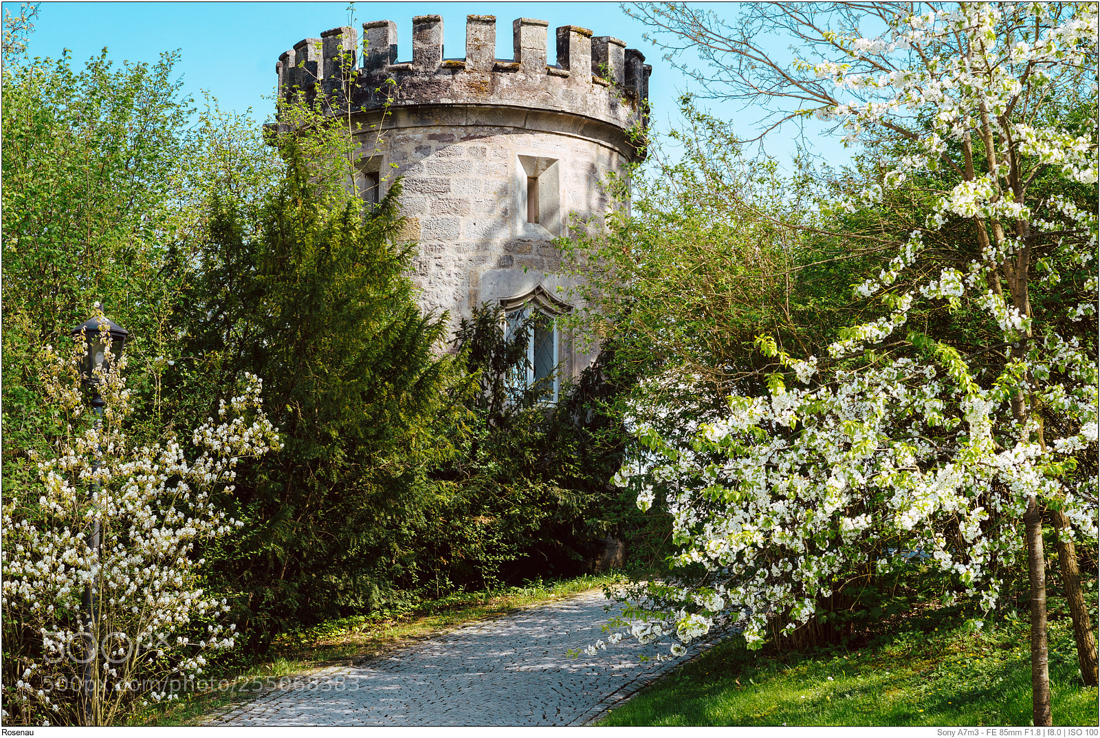 Sony a7 III sample photo. Schlosspark rosenau photography