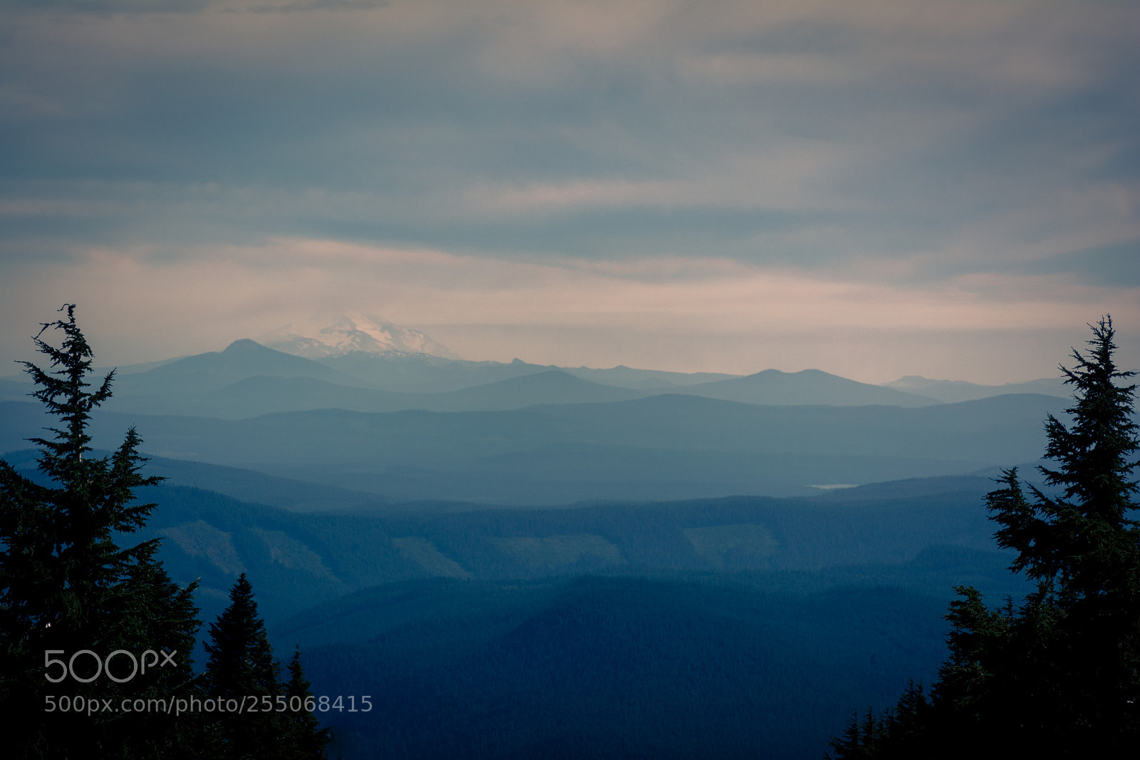Nikon D5200 sample photo. Oregon sky framed photography