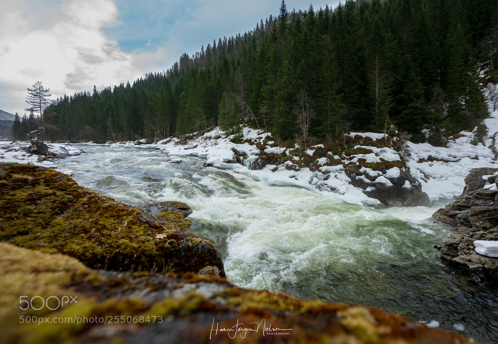 Sony a7R II sample photo. Shades of green photography