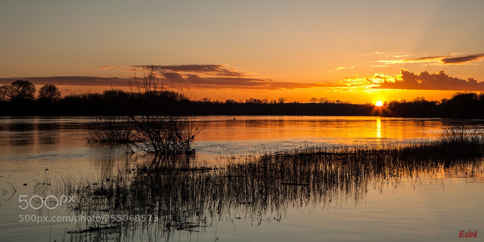 Canon EOS 5D Mark II sample photo. Down by the river photography