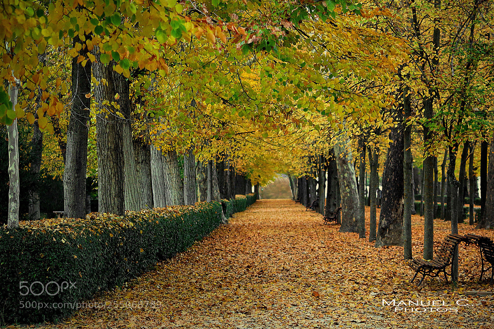 Canon EOS 650D (EOS Rebel T4i / EOS Kiss X6i) sample photo. Aranjuez aa photography