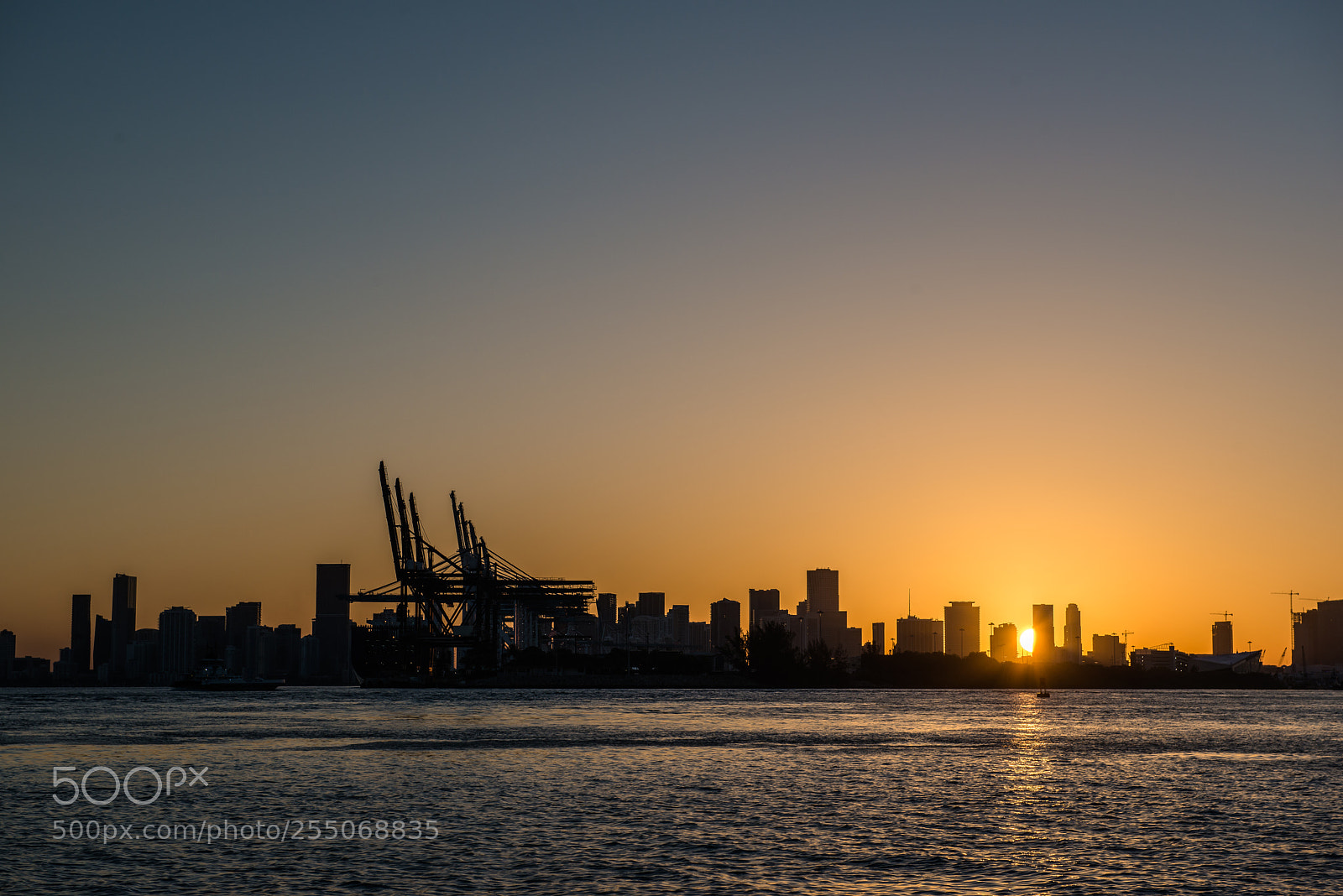 Nikon D800 sample photo. Miami - april 2018 photography