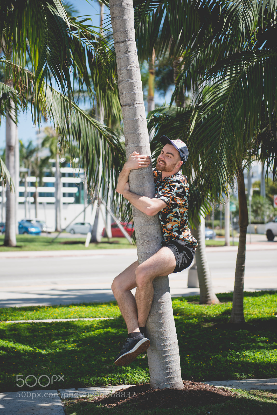 Nikon D800 sample photo. Miami - april 2018 photography