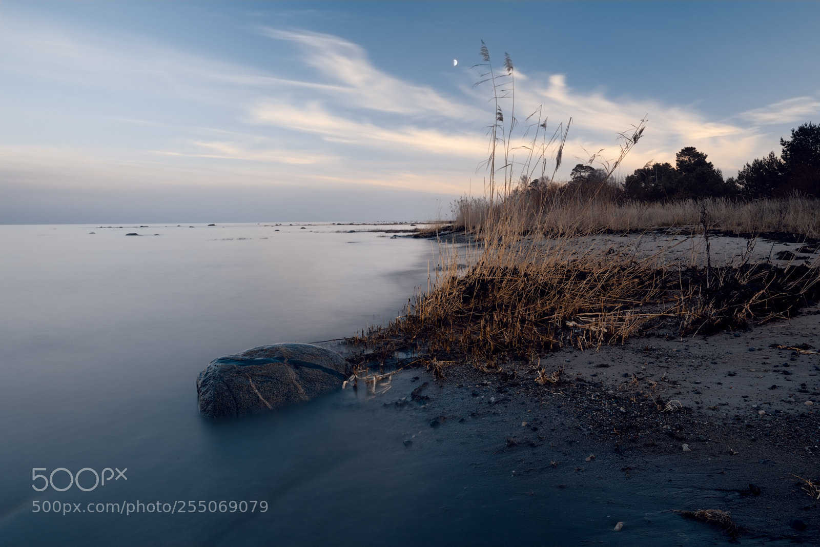 Canon EOS-1Ds Mark II sample photo. Yx photography