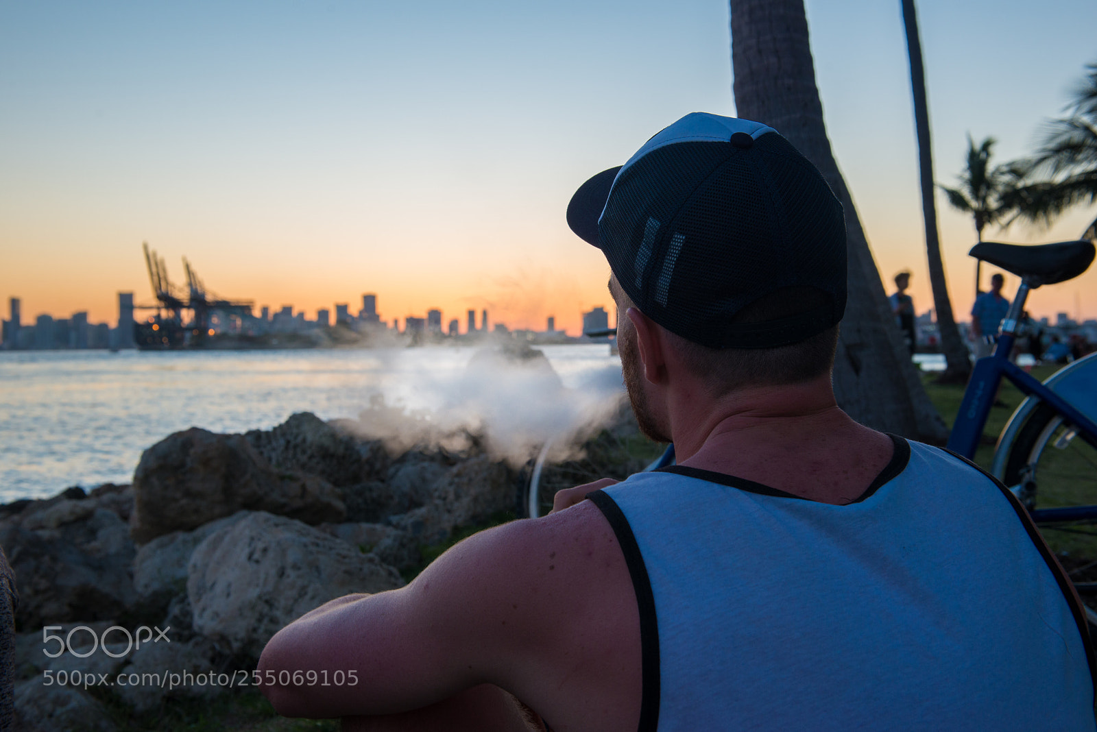 Nikon D800 sample photo. Miami - april 2018 photography