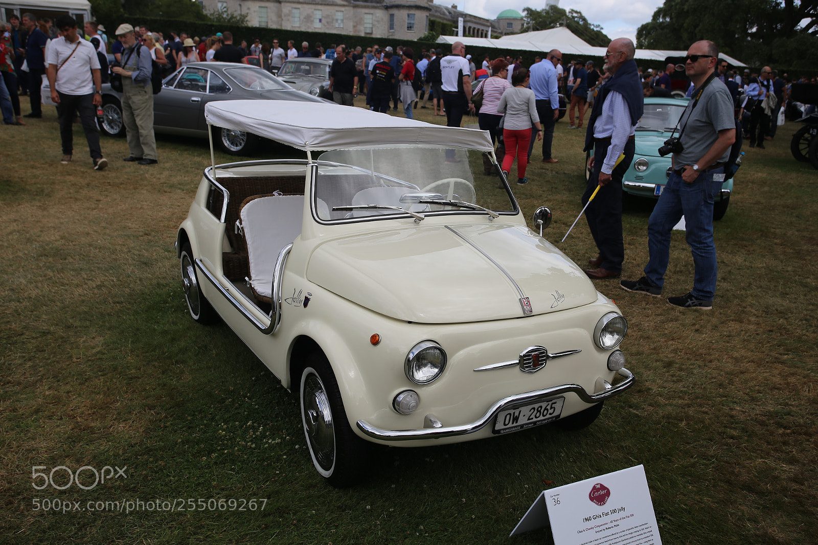 Canon EOS 6D + Canon EF 17-40mm F4L USM sample photo. Goodwood festival of speed photography