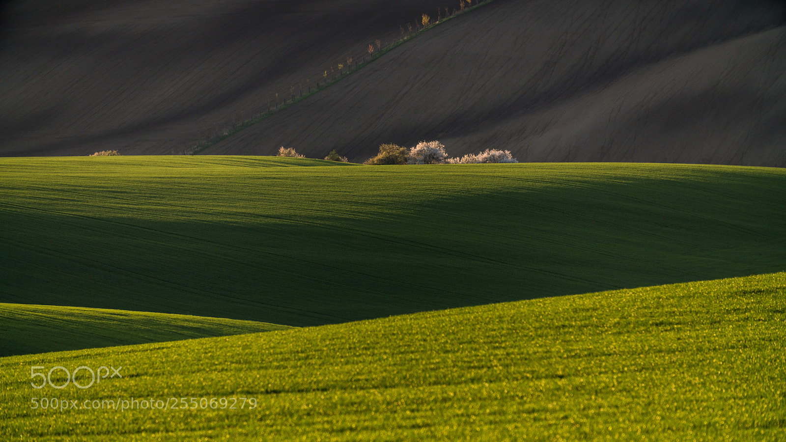 Sony a6500 sample photo. Moravian fields photography