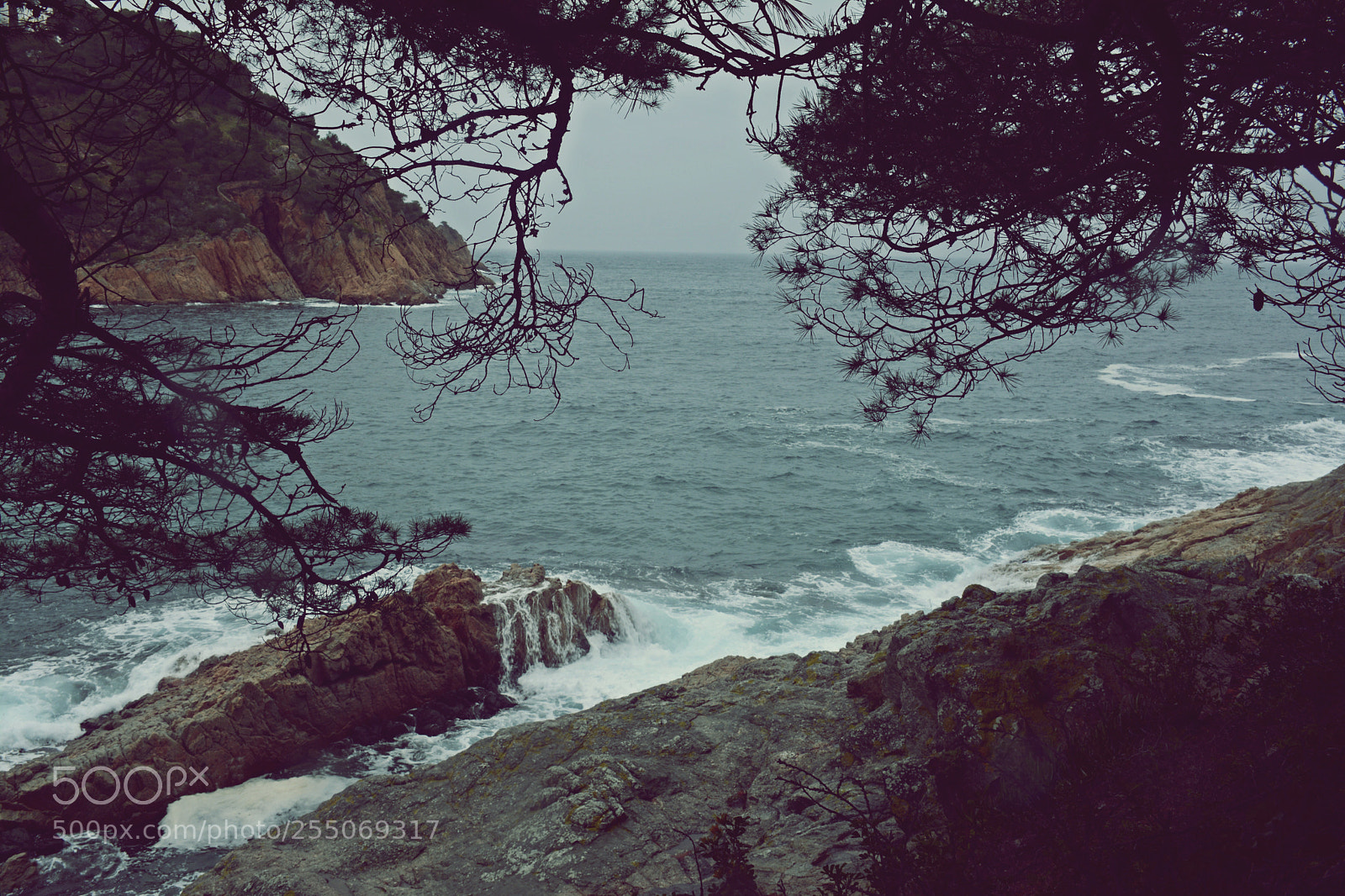 Nikon D7100 sample photo. Costa brava photography
