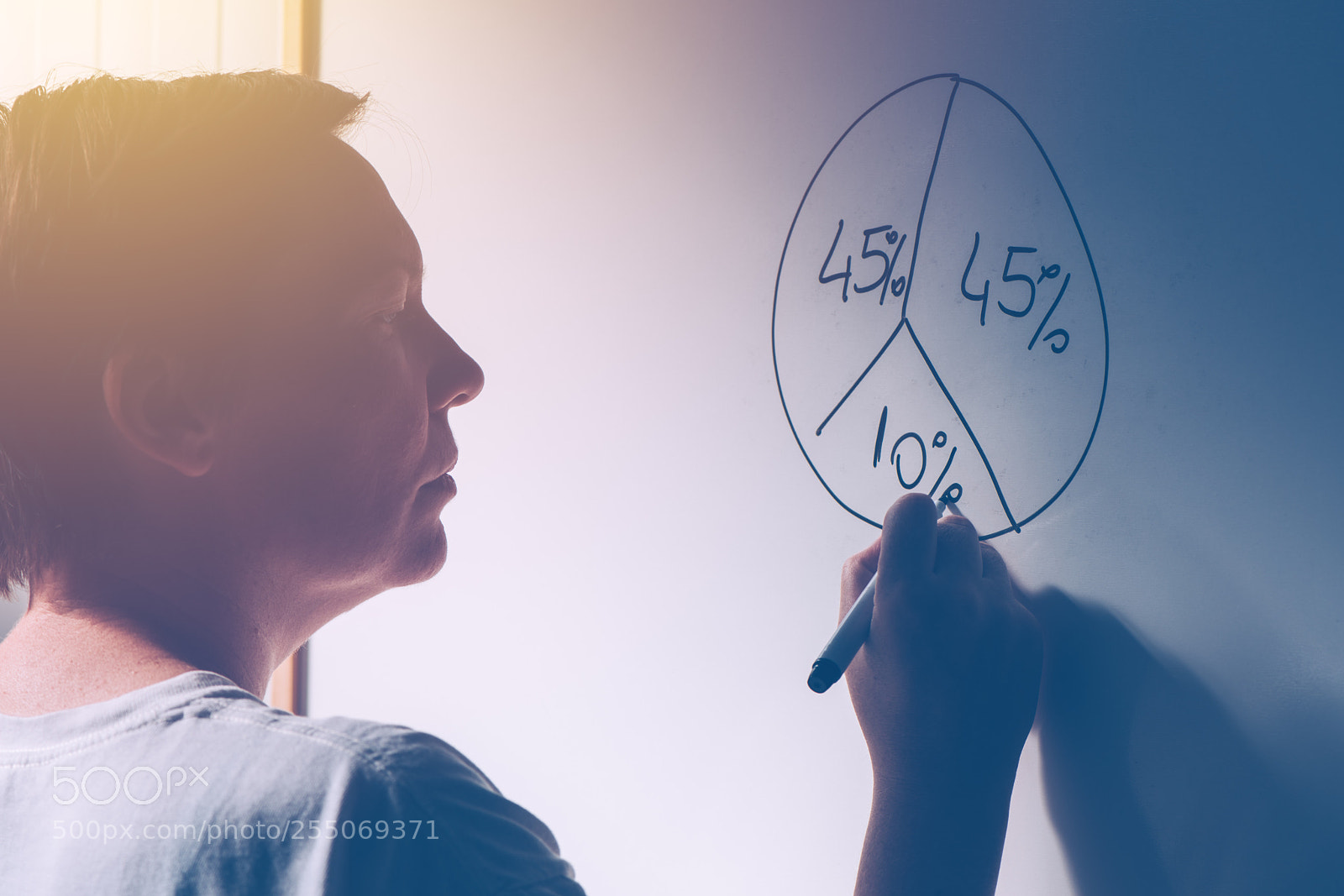 Nikon D810 sample photo. Businesswoman drawing pie chart photography