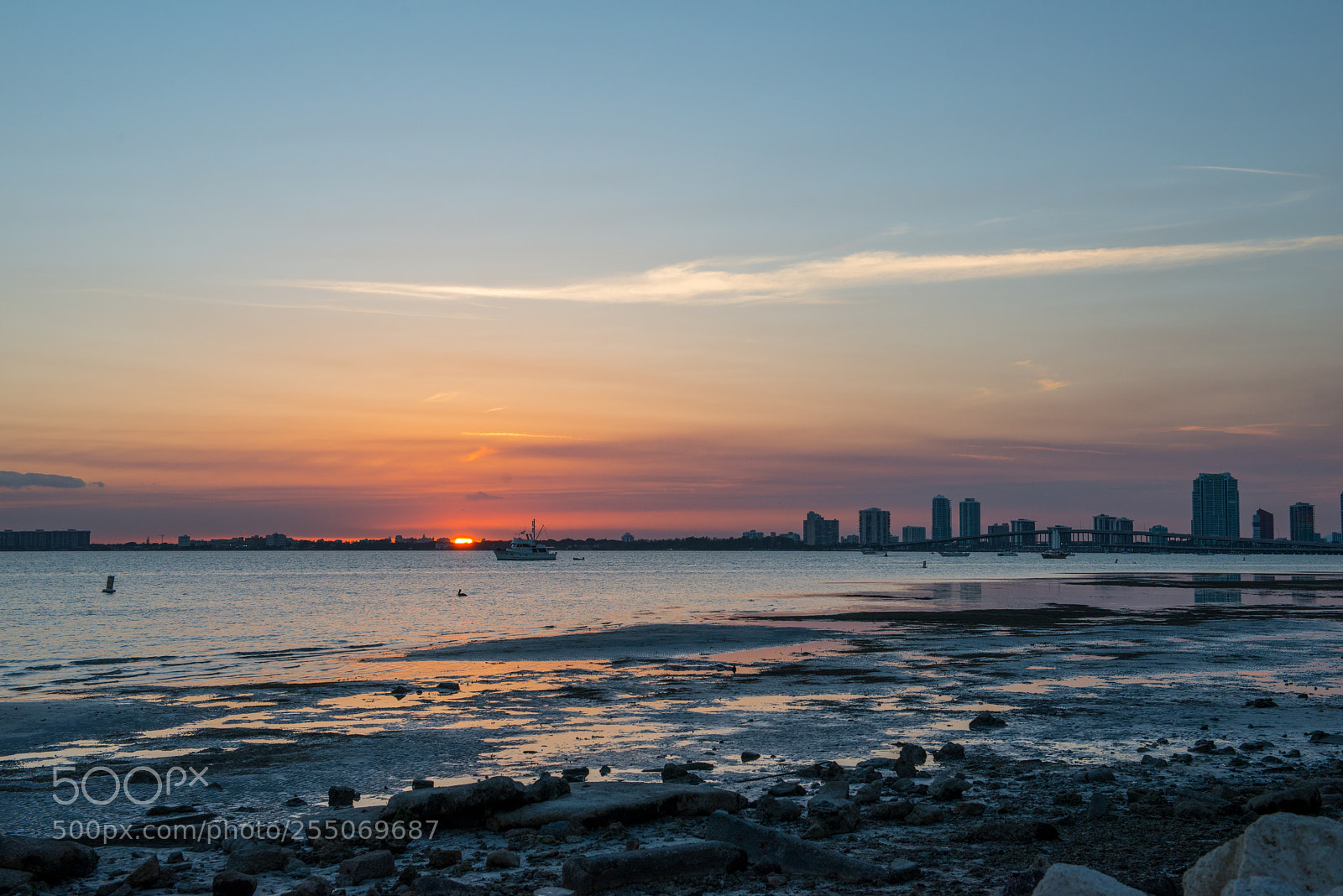 Nikon D800 sample photo. Miami - april 2018 photography