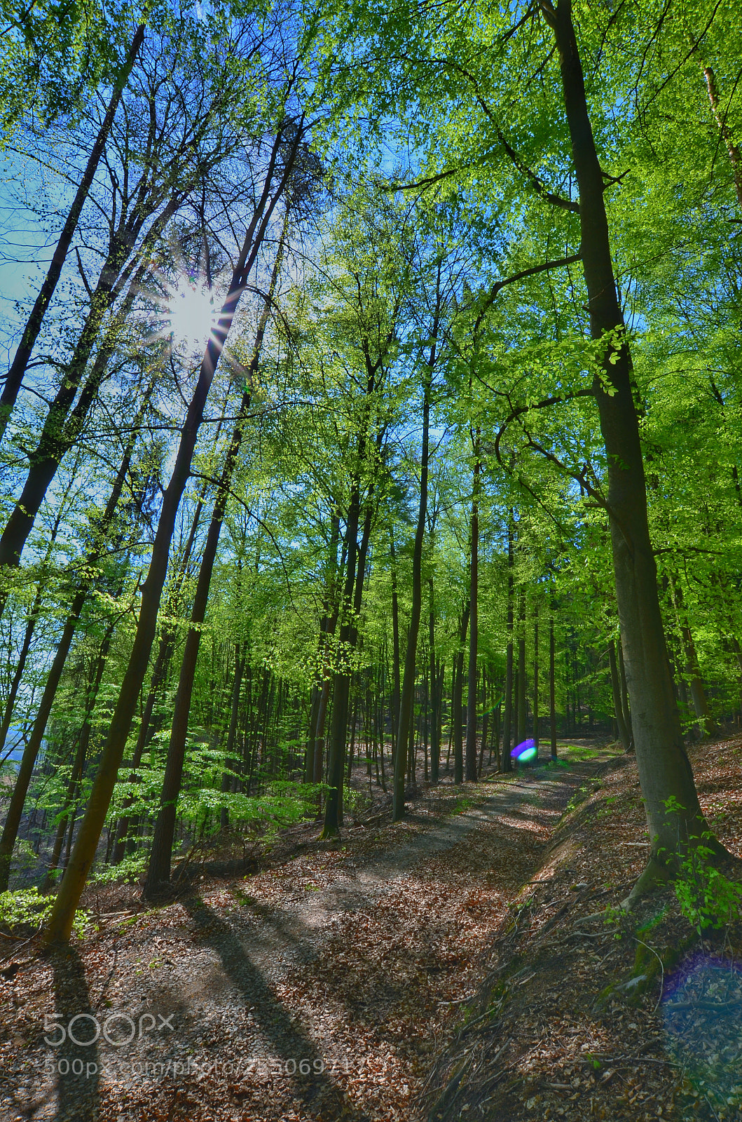 Nikon D5100 sample photo. Untitled photography