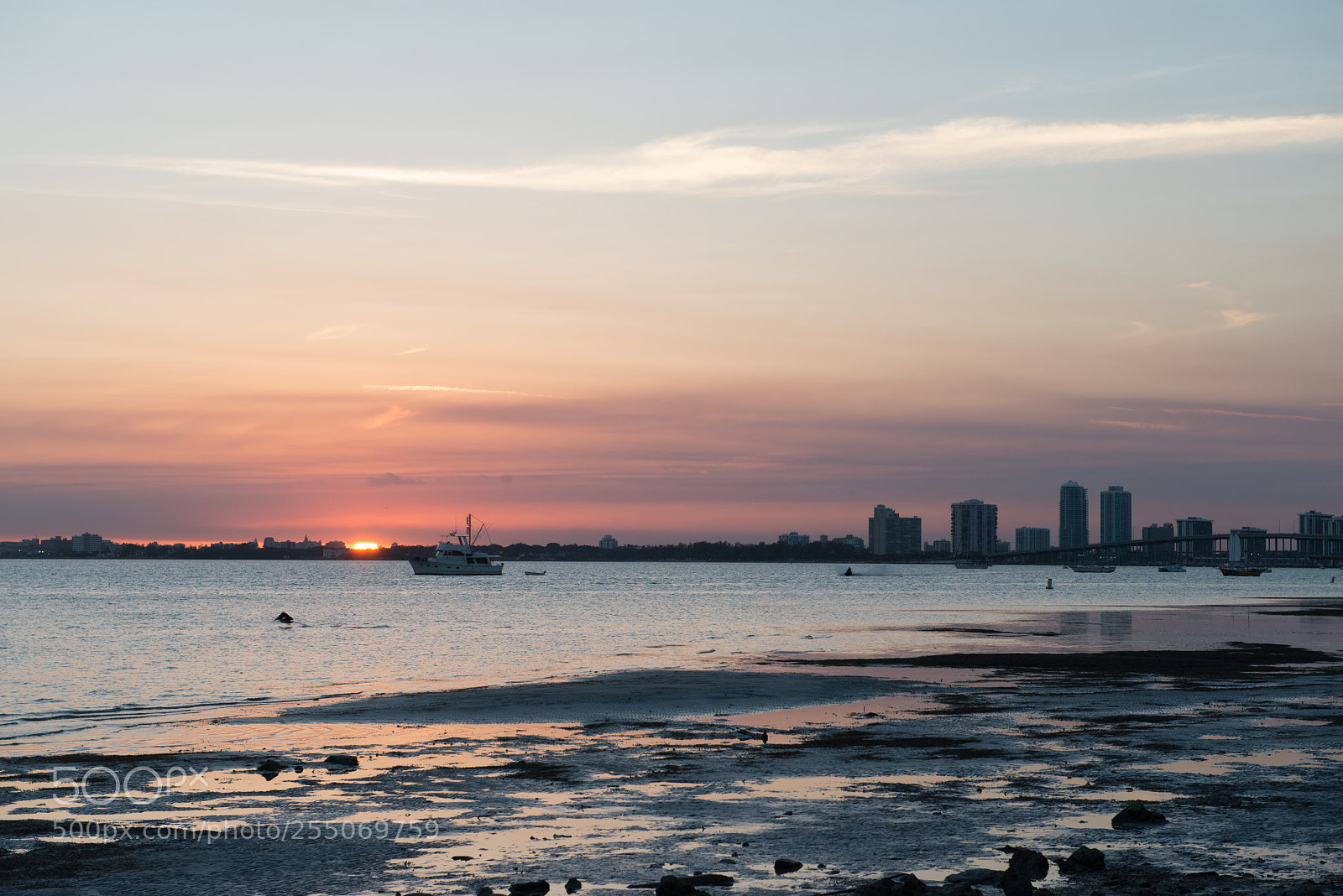 Nikon D800 sample photo. Miami - april 2018 photography