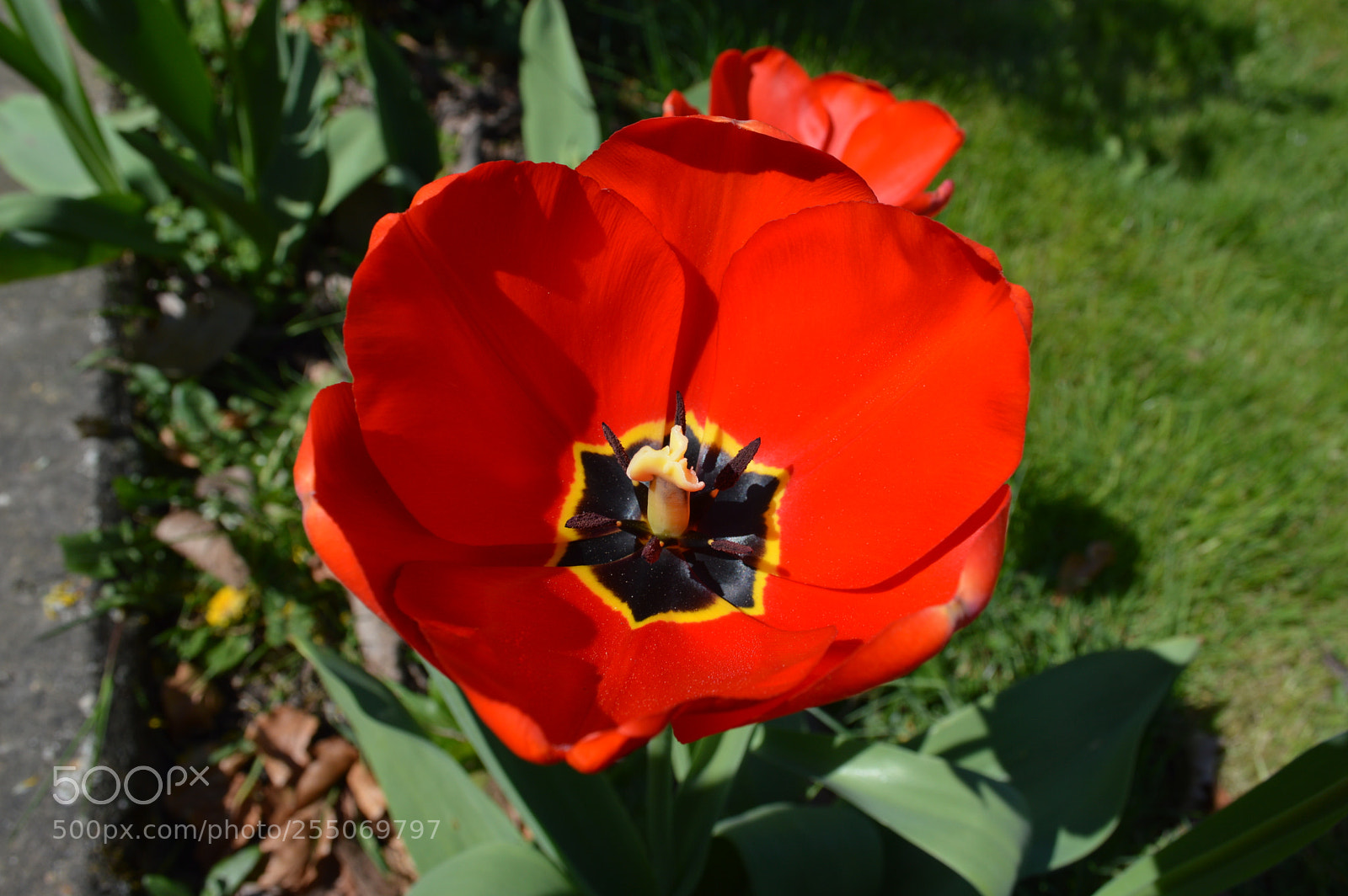 Nikon D3200 sample photo. Dsc photography