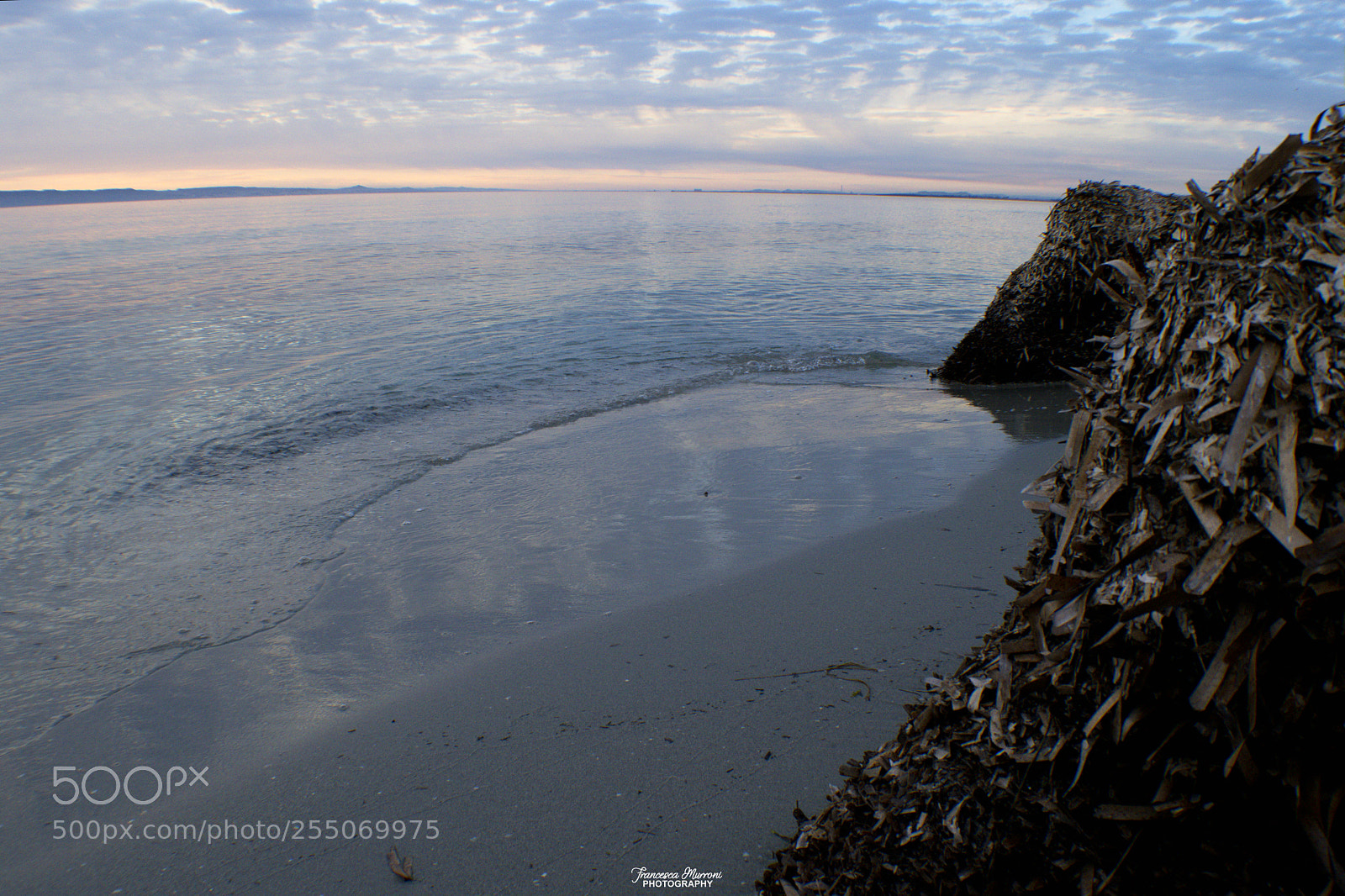 Nikon D5300 sample photo. Reflections on the water's photography
