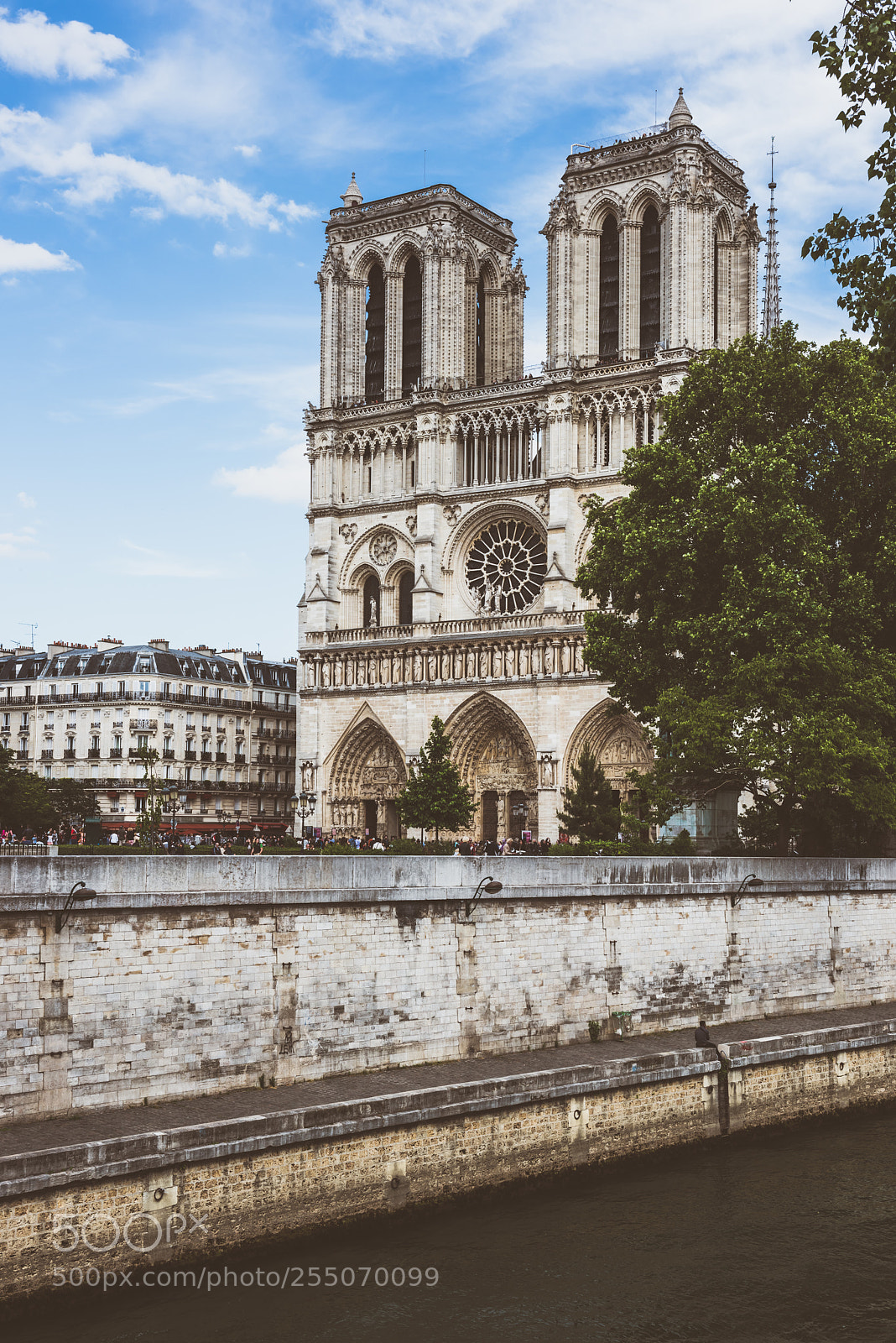 Nikon D810 sample photo. Cathedral of notre dame photography