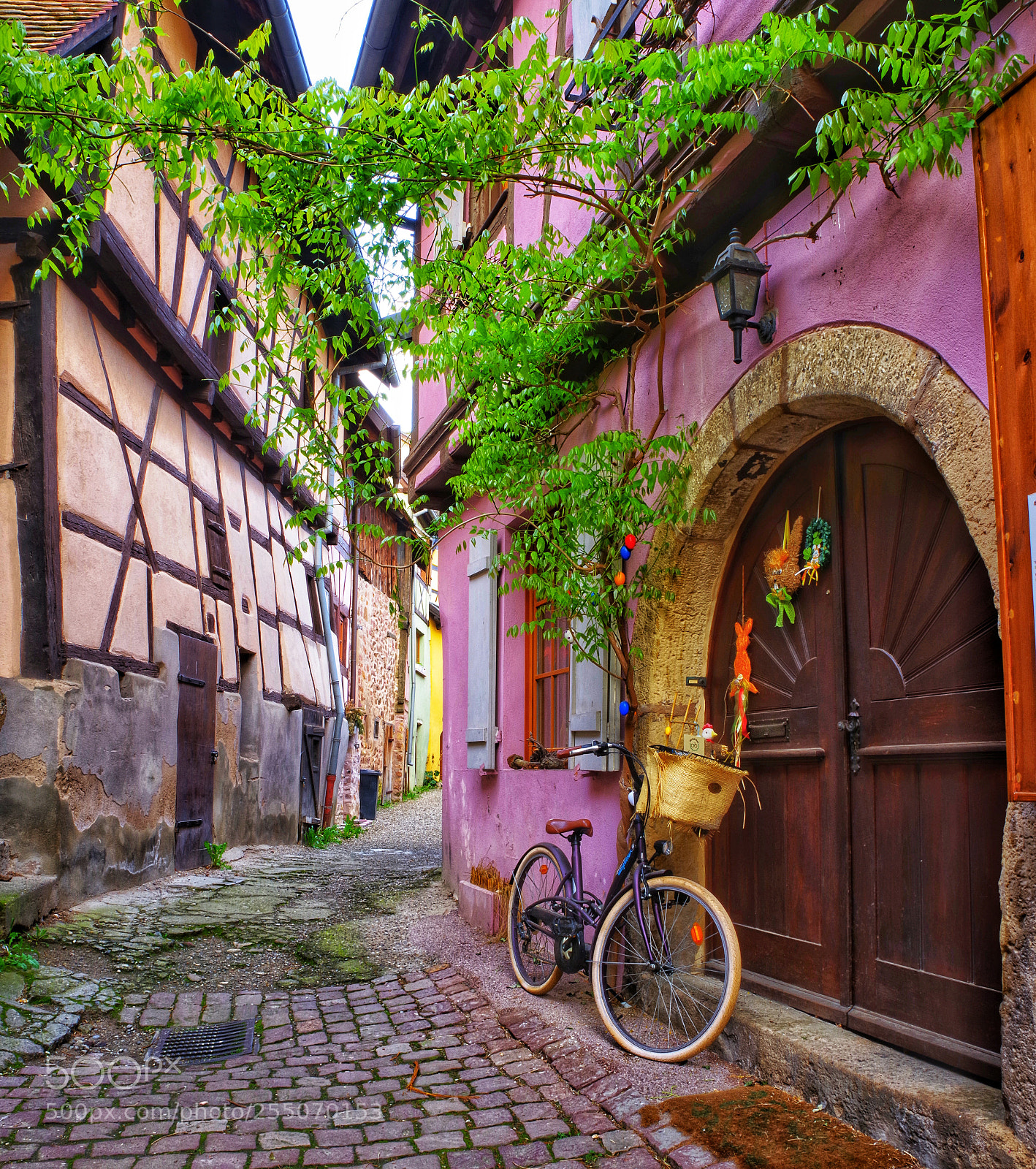 Pentax K-1 sample photo. Eguisheim photography