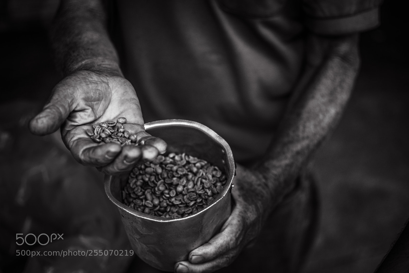 Nikon D5200 sample photo. Brazilian coffee photography