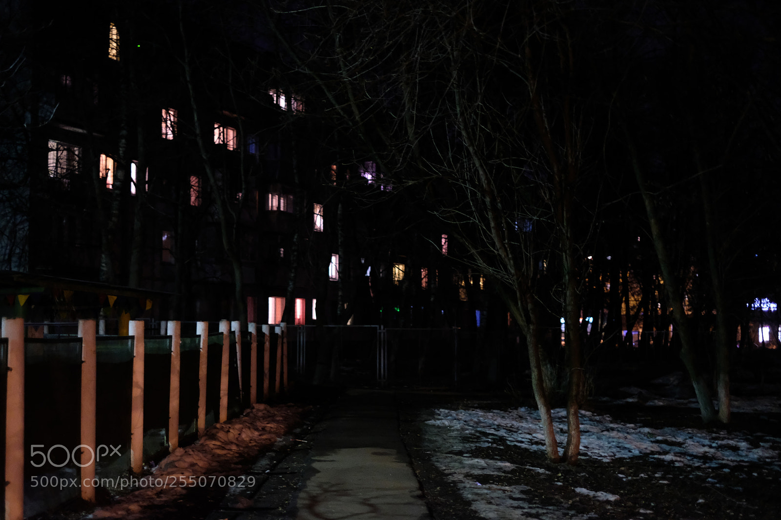 Fujifilm X-T20 sample photo. Untitled photography