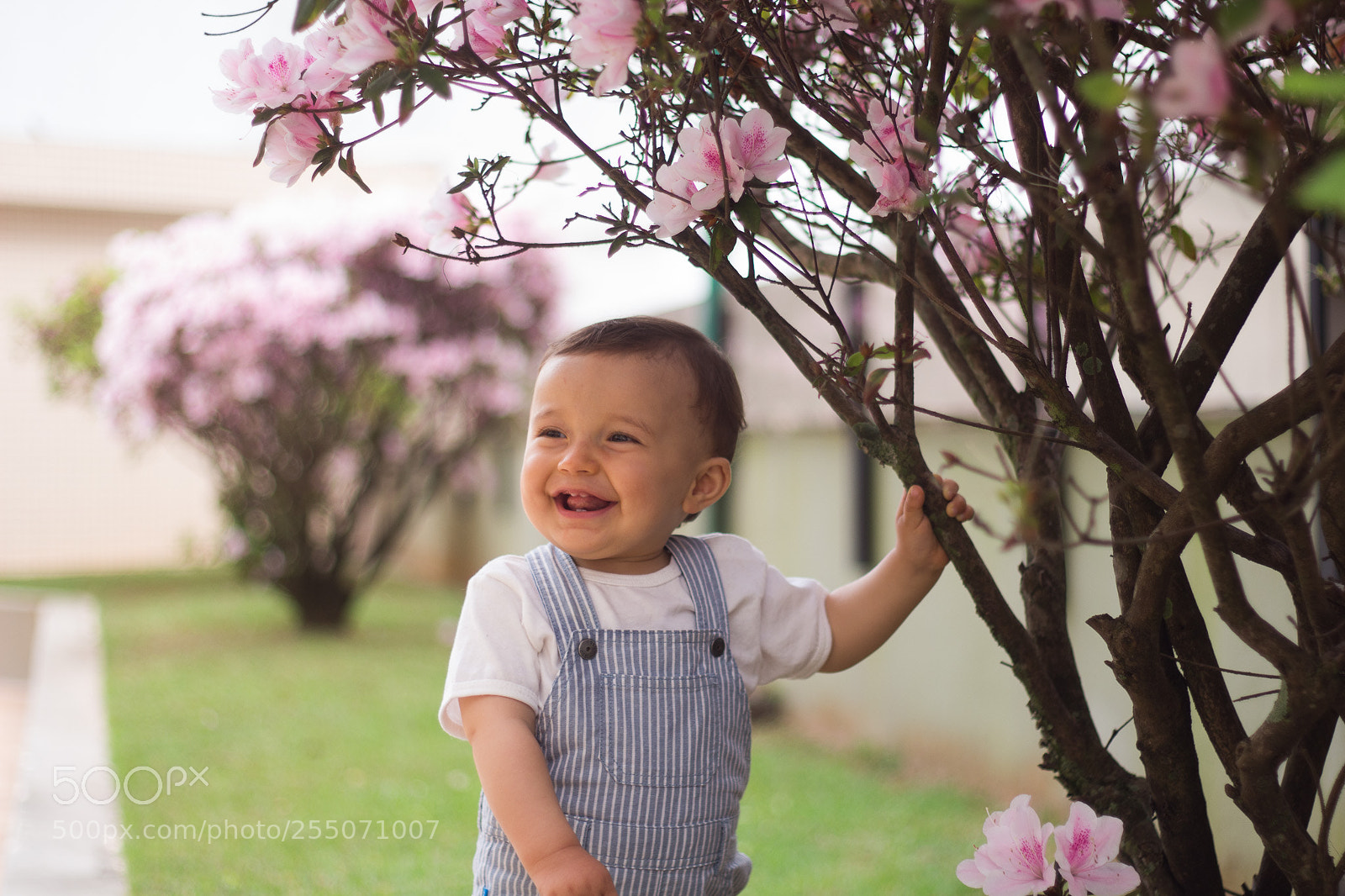 Canon EOS 700D (EOS Rebel T5i / EOS Kiss X7i) sample photo. Felicidade photography