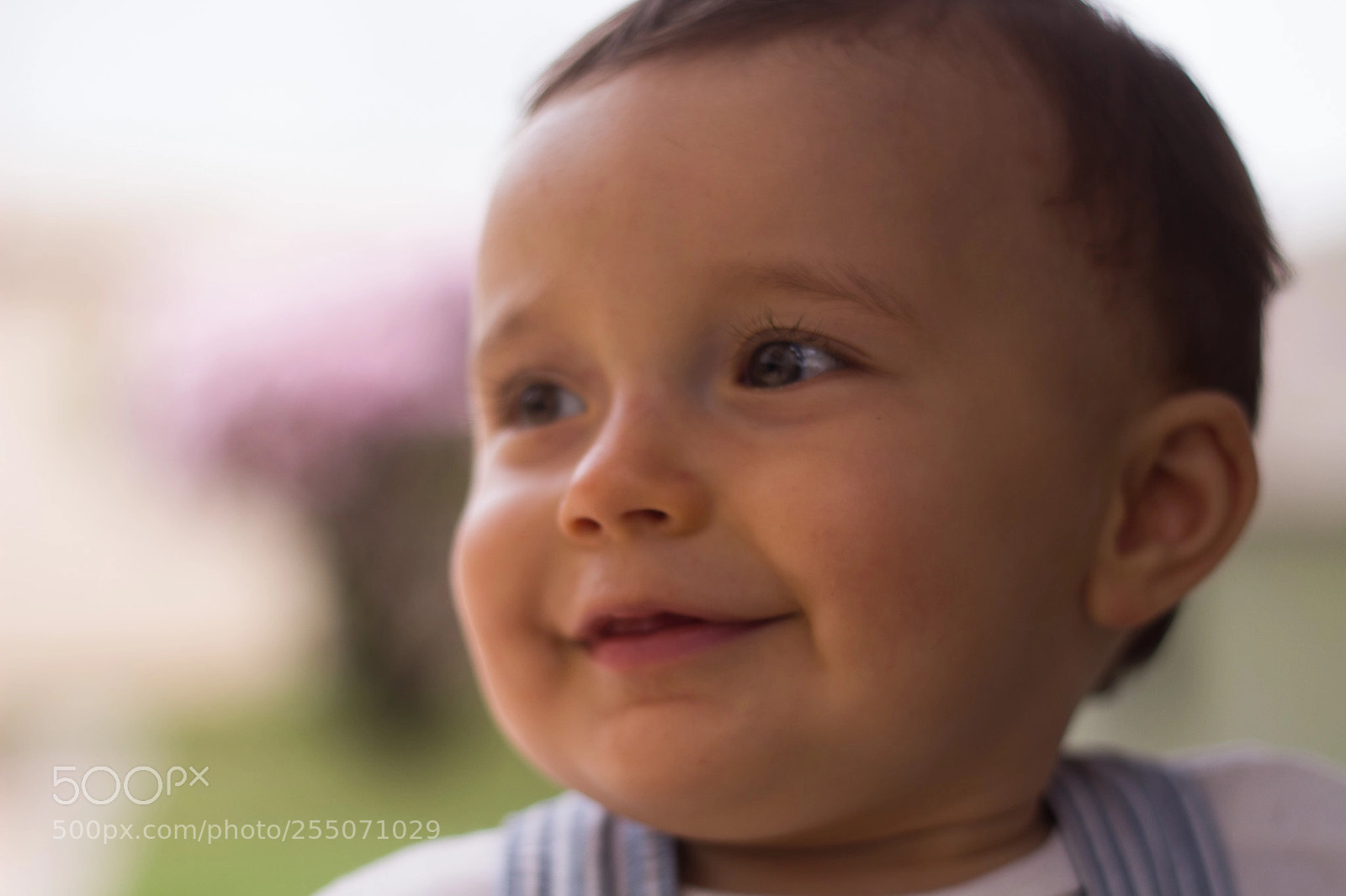 Canon EOS 700D (EOS Rebel T5i / EOS Kiss X7i) sample photo. Sorriso photography