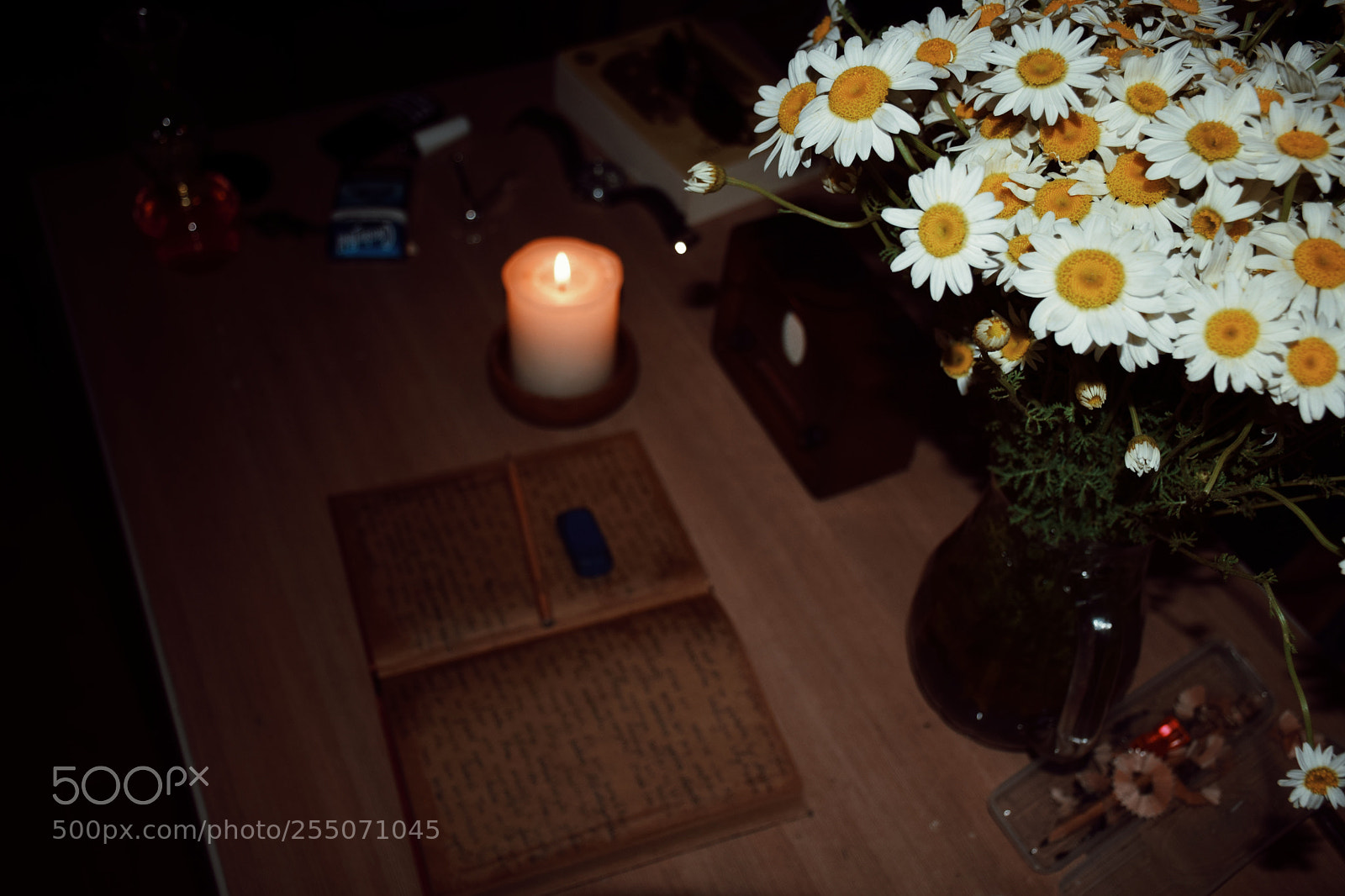 Nikon D5300 sample photo. Untitled photography