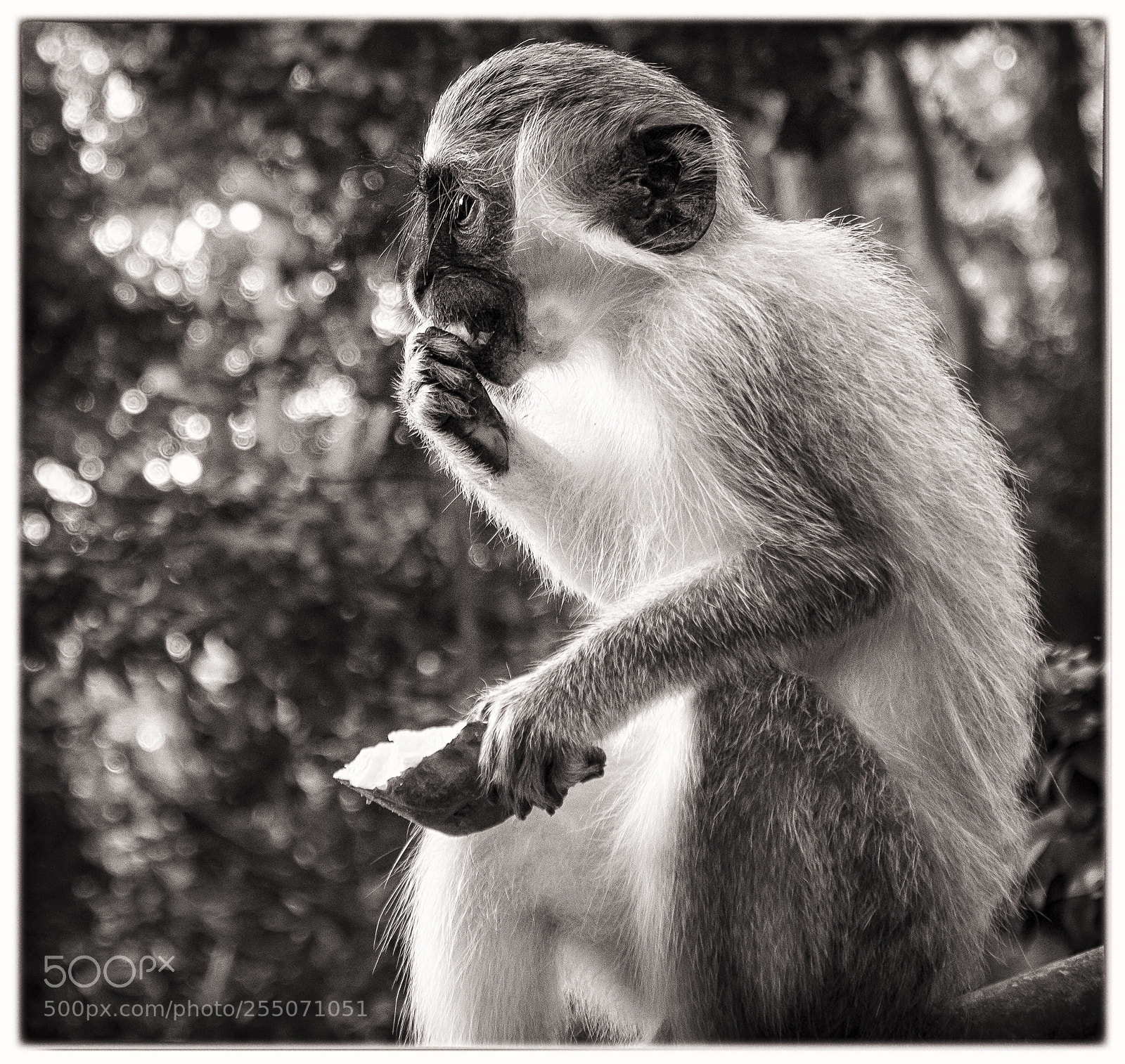 Sony a6500 sample photo. Lunch.  photography