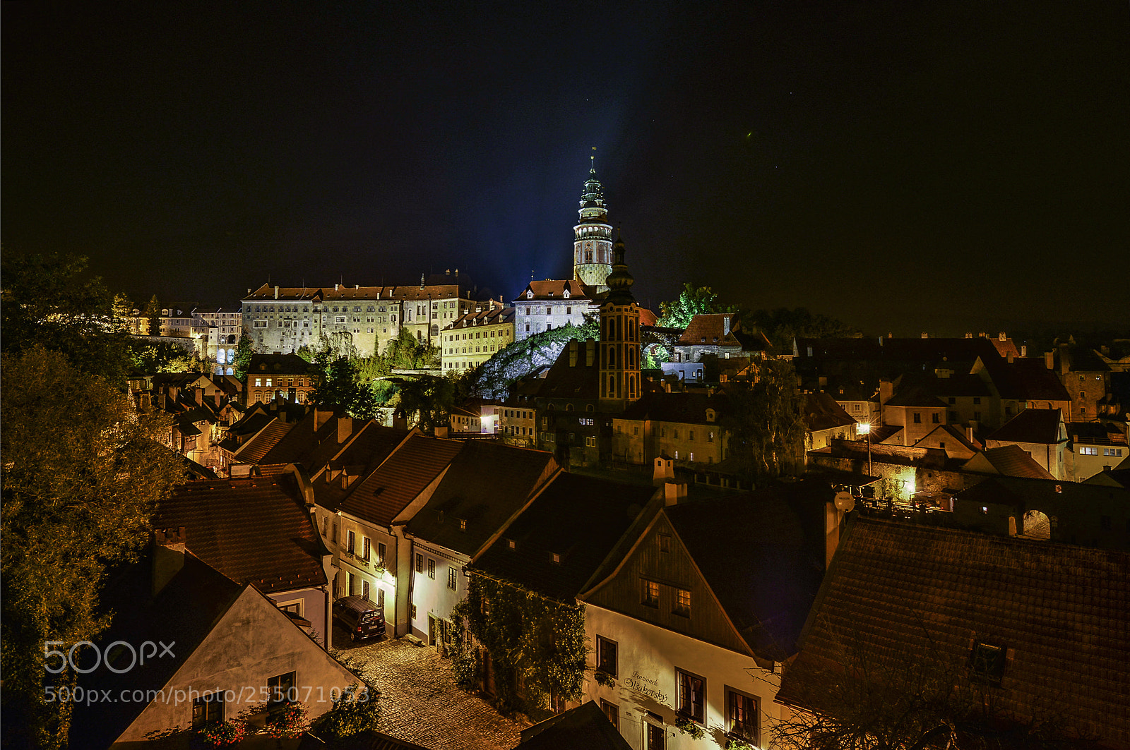 Nikon D800 sample photo. Esk krumlov city at photography