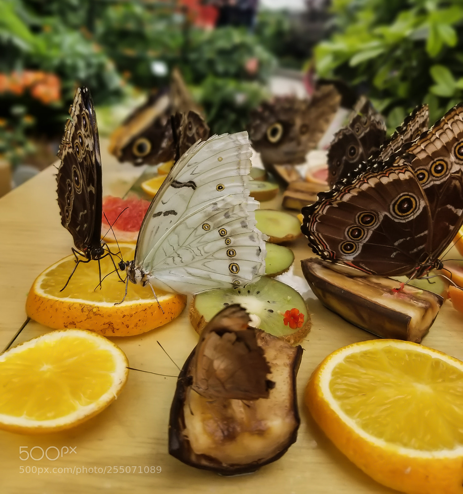 Samsung Galaxy S8 sample photo. Lunch time photography