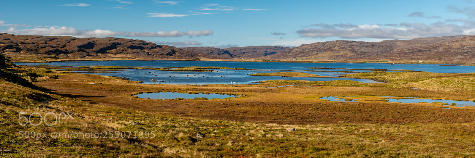 Nikon D750 sample photo. Kaldrananes, westfjords, iceland, panorama photography