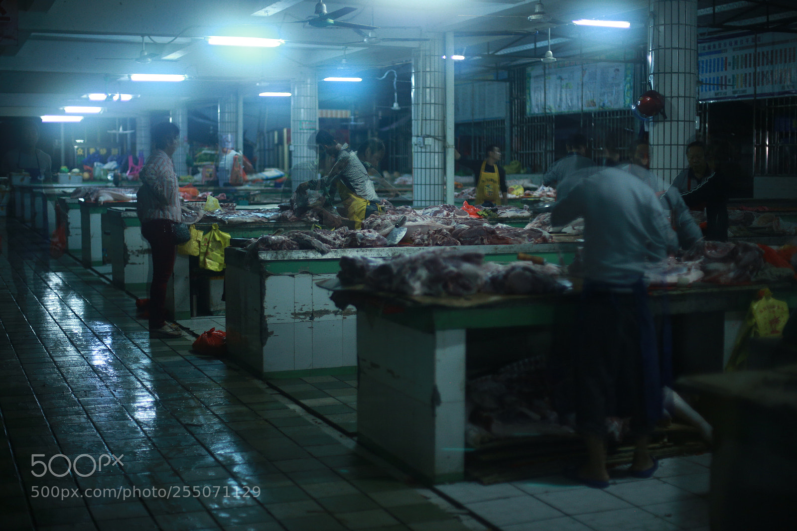 Canon EOS 6D + Canon EF 50mm F1.4 USM sample photo. Untitled photography