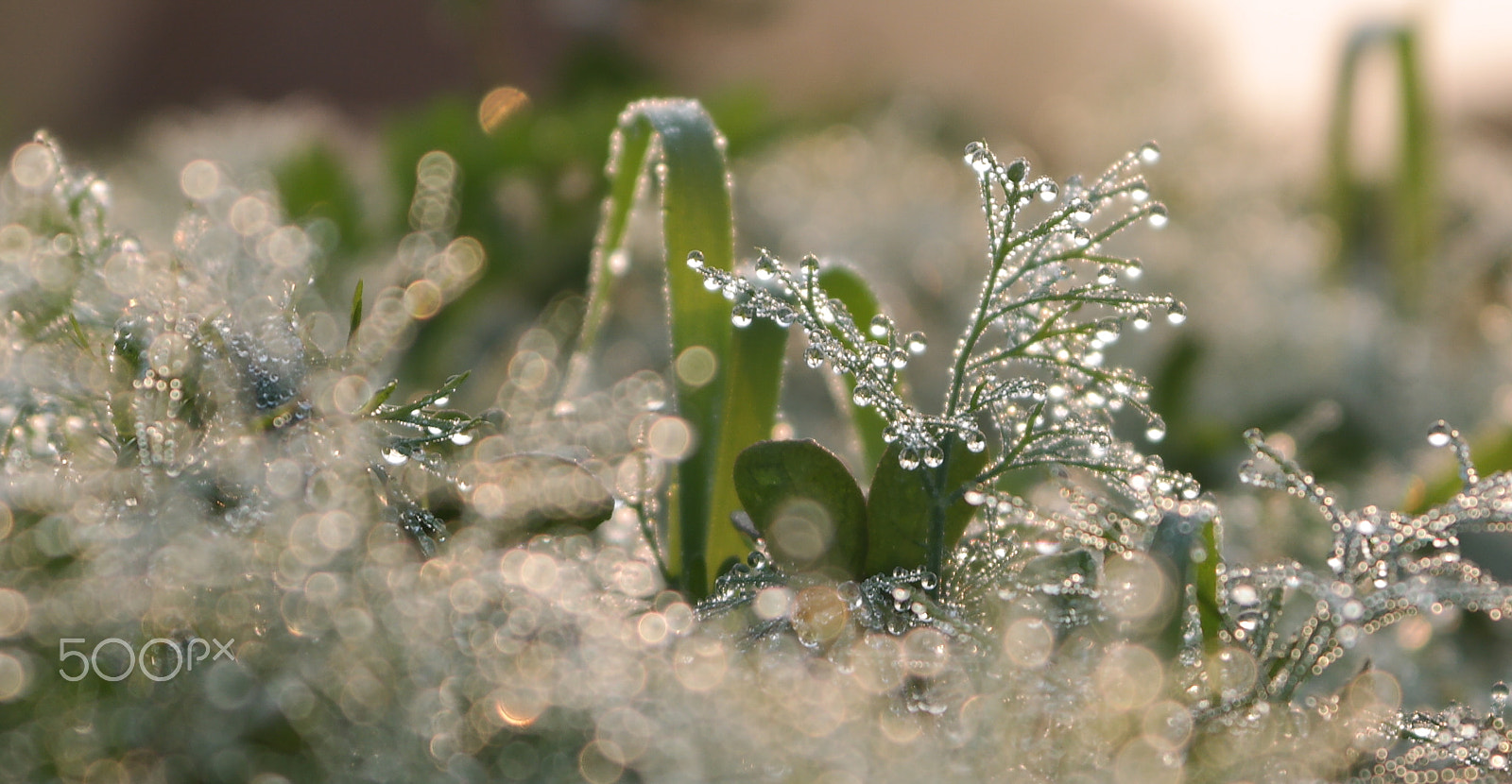 Samsung NX2000 sample photo. Gems from sky photography