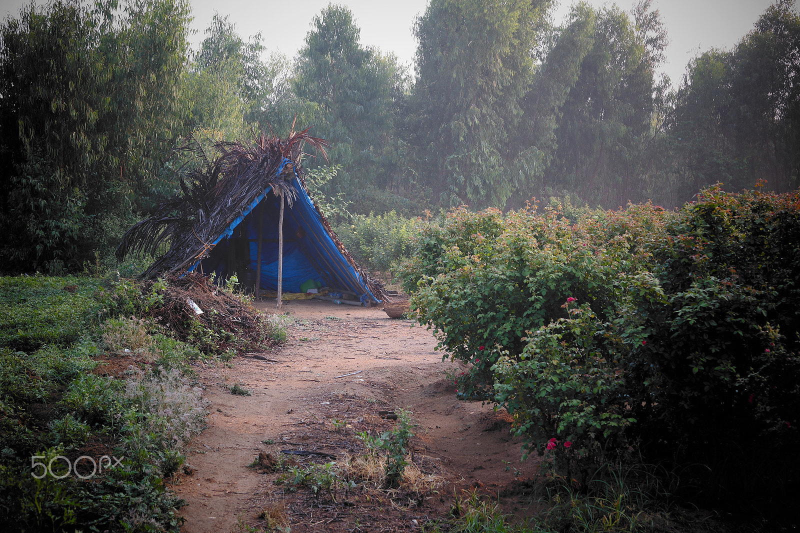 Samsung NX2000 sample photo. Vllage hut photography