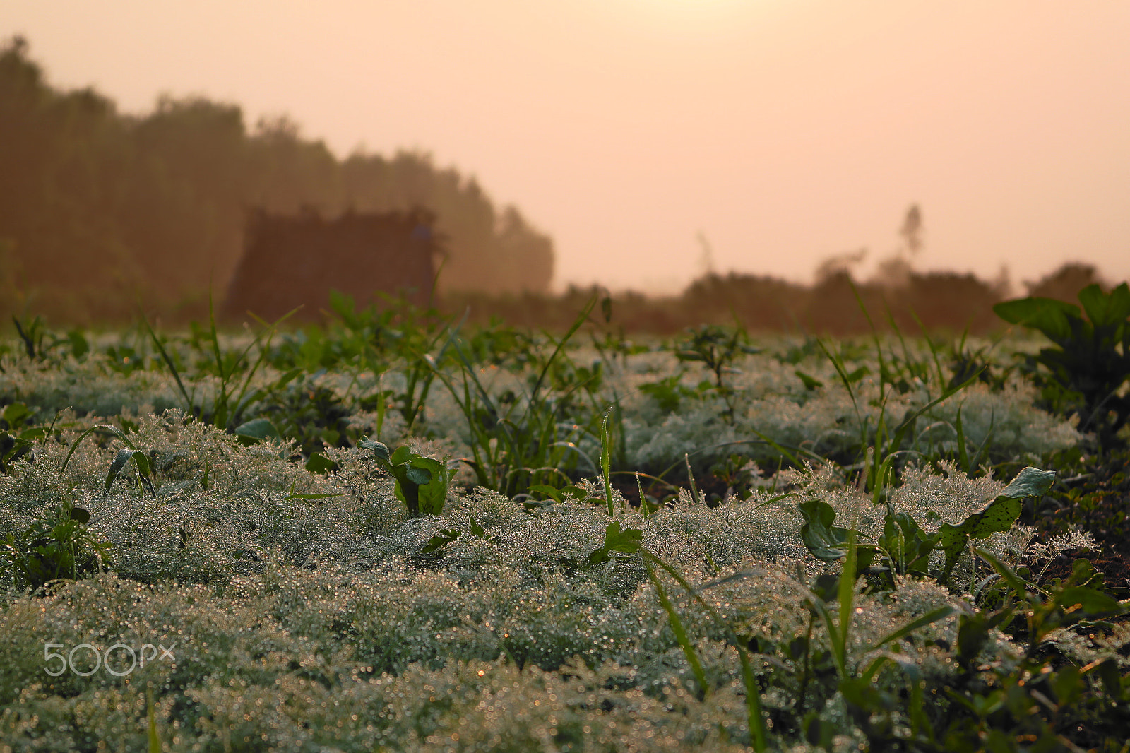 Samsung NX2000 sample photo. Gems from sky photography