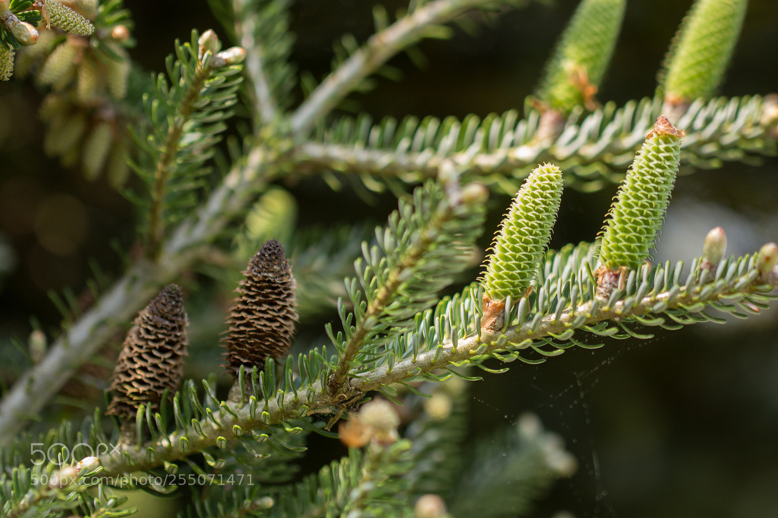 Canon EOS 700D (EOS Rebel T5i / EOS Kiss X7i) sample photo. Old and new photography