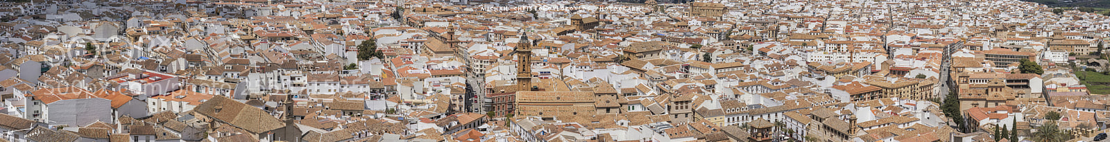 Nikon D810 sample photo. Antequera photography