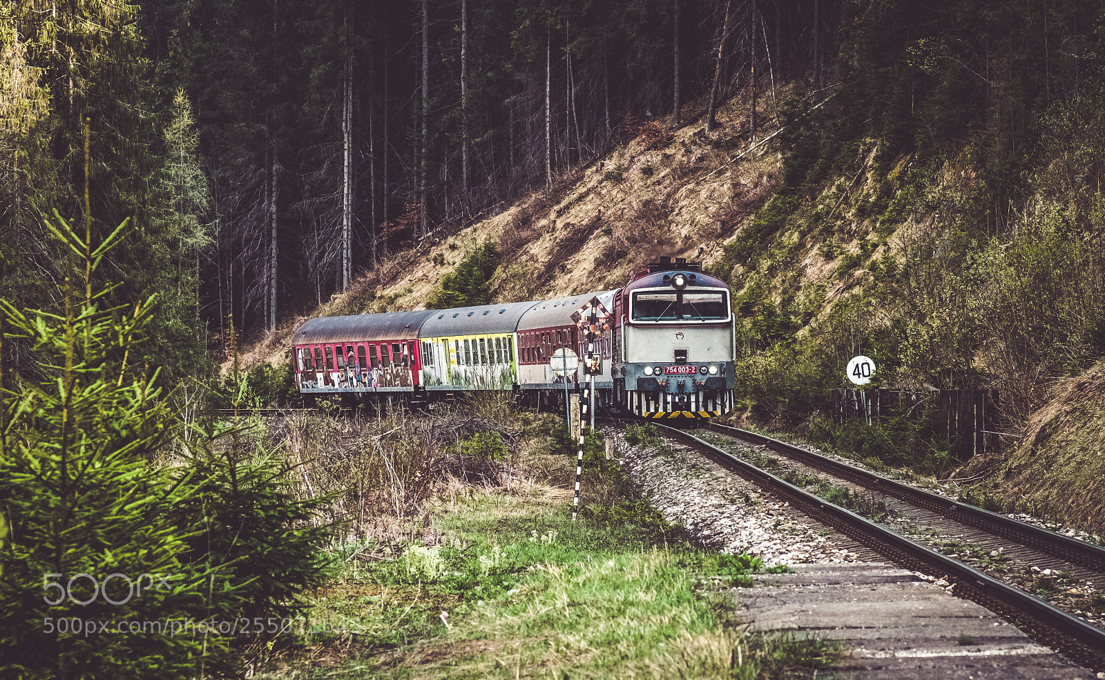 Fujifilm X-T20 sample photo. Forest train photography