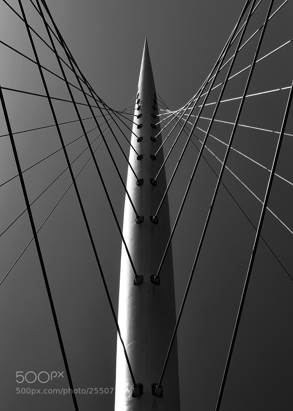 Nikon D3300 sample photo. The harp #3 photography