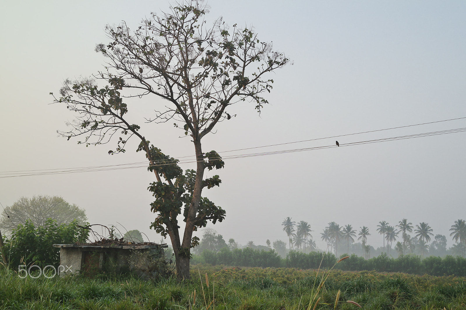 Samsung NX2000 sample photo. Abandoned house in a village photography