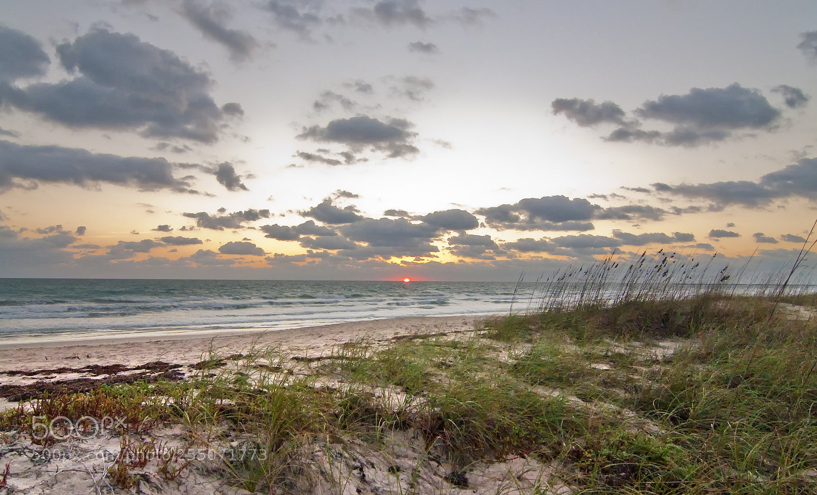 Nikon D90 sample photo. Florida beach sunrise photography