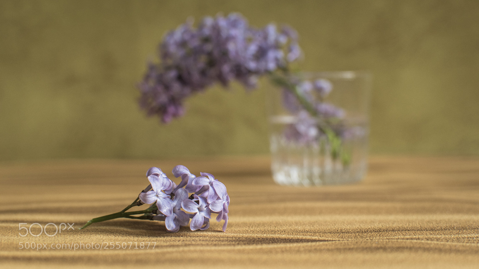 Nikon D5300 sample photo. Lilas photography