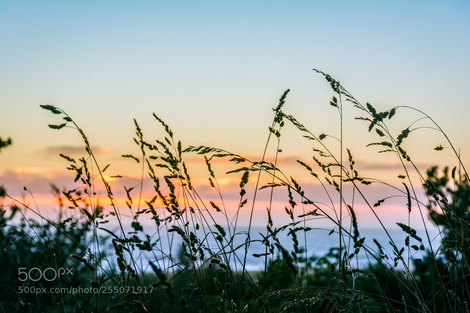 Nikon D5200 sample photo. Sunset colors photography