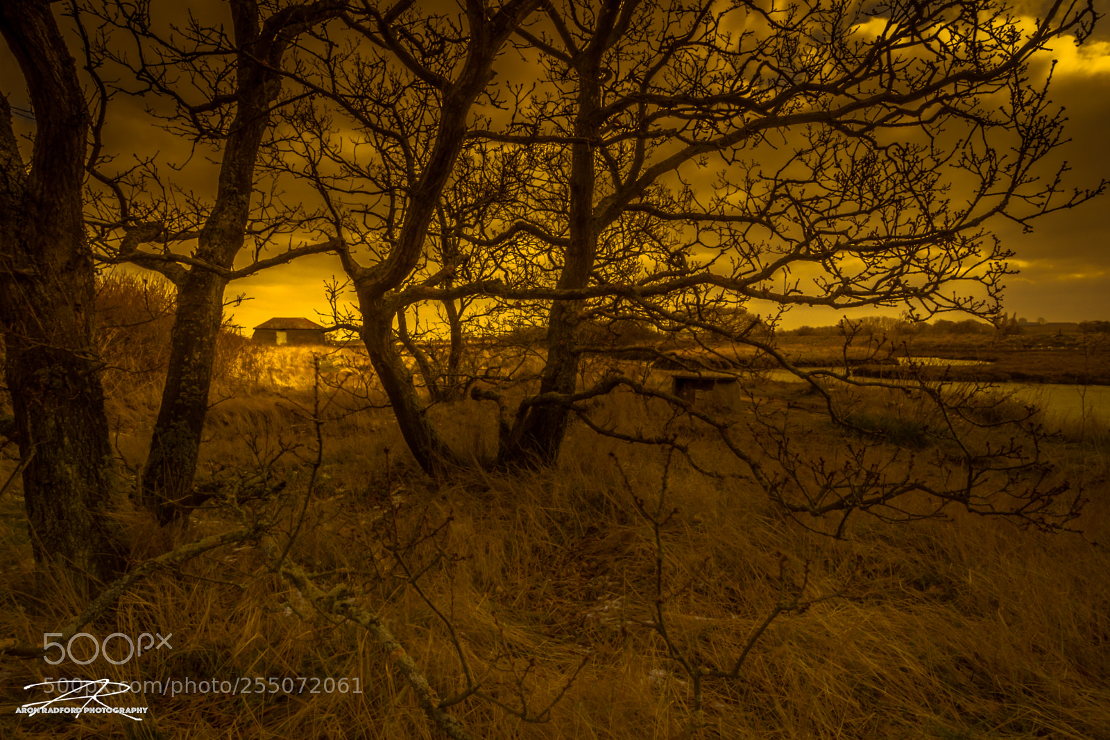 Nikon D5000 sample photo. Beaumont quay artistic dusk photography