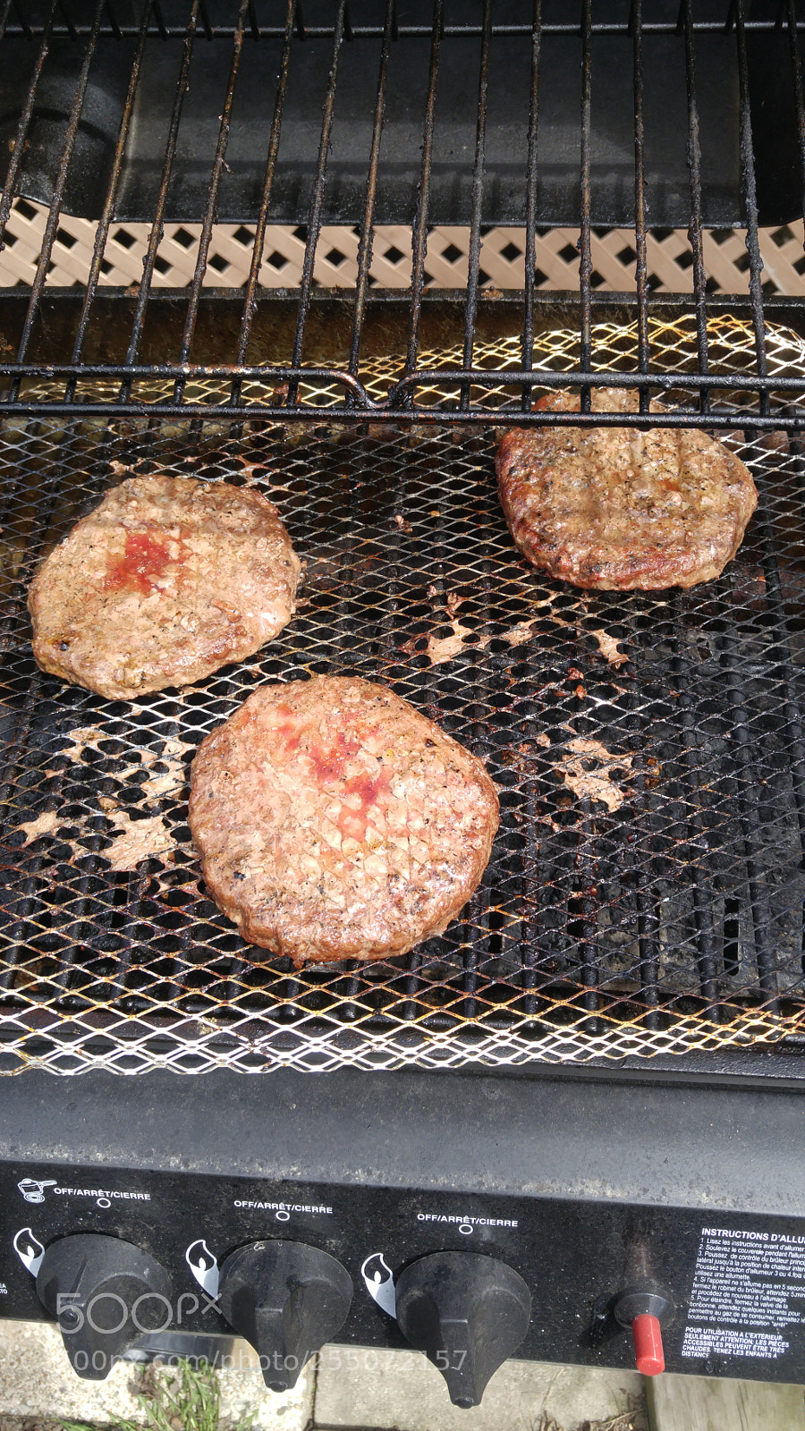 LG G4 sample photo. Bbq photography