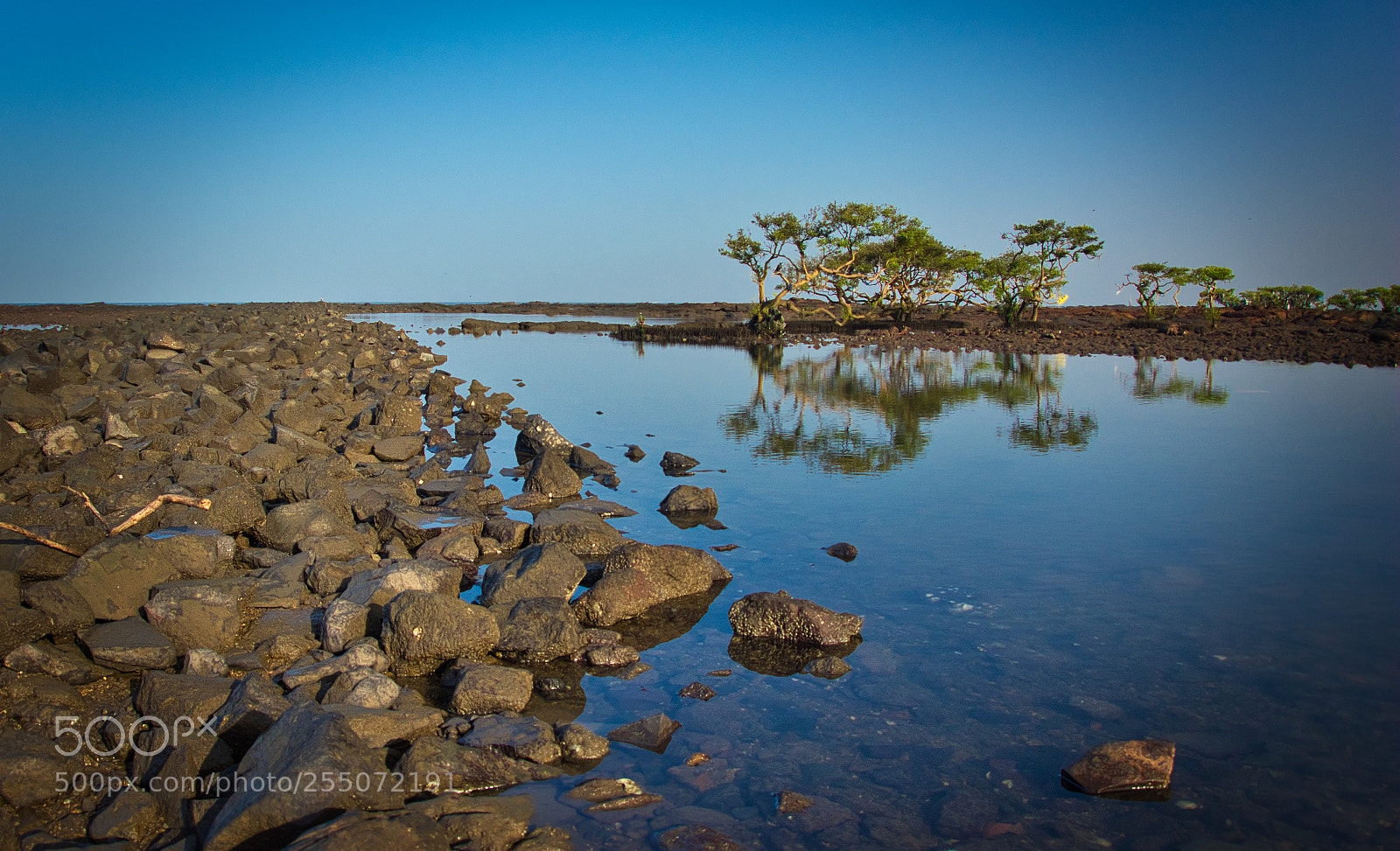 Nikon D5200 sample photo. Rocks and trees photography
