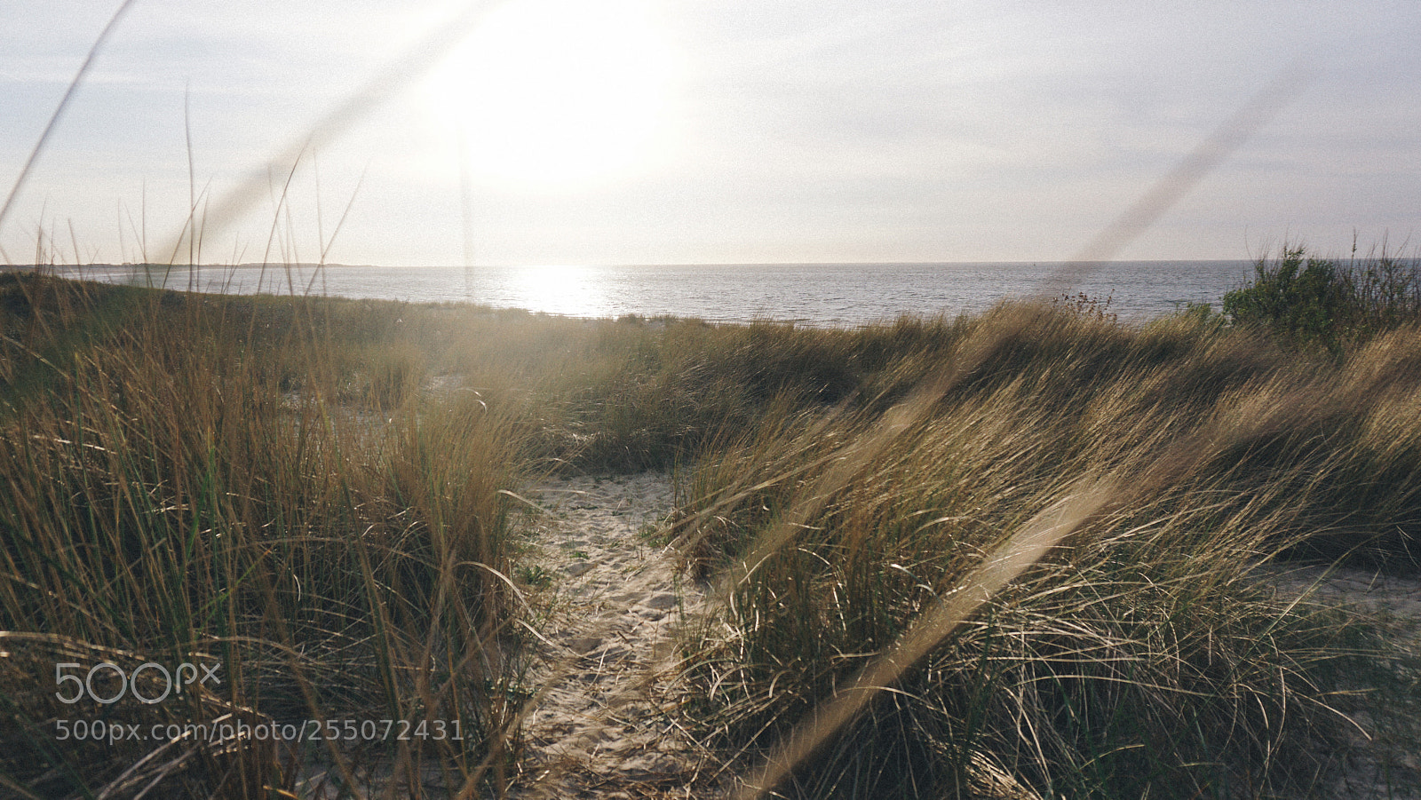 Sony a6000 sample photo. Zeeland photography