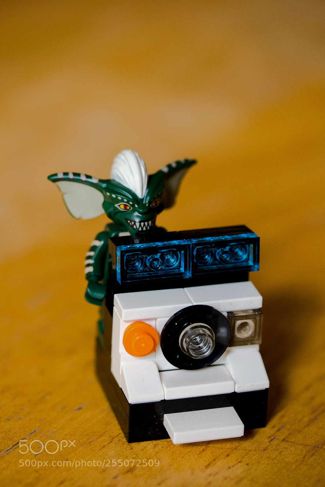 Canon EOS 60D sample photo. Img photography